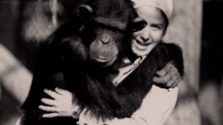 Janis Carter and Lucy the chimpanzee