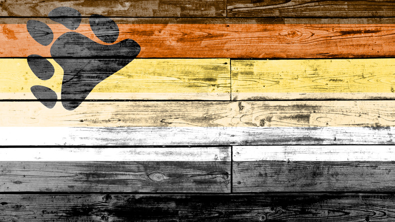 bear brotherhood LGBTQ+ pride flag