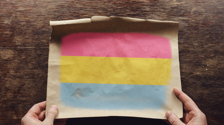 pansexual LGBTQ+ pride flag