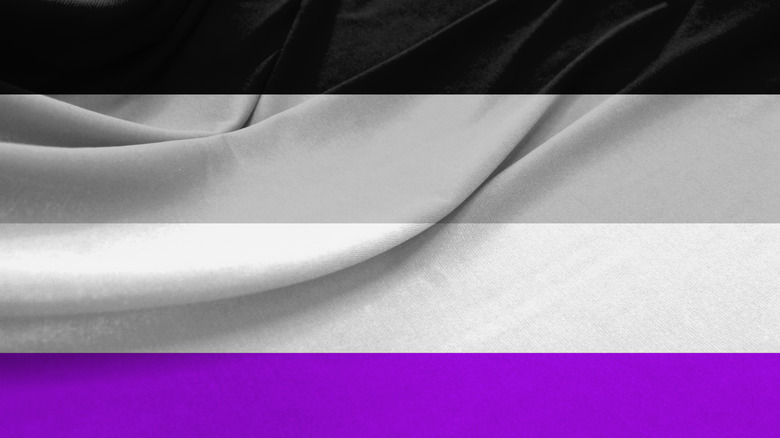 asexual LGBTQ+ pride flag