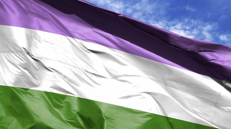 genderqueer LGBTQ+ pride flag