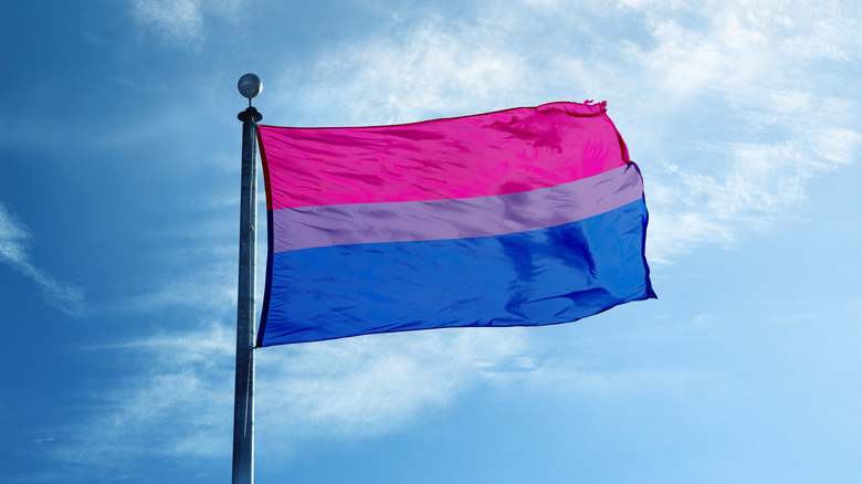 bisexual LGBTQ+ pride flag