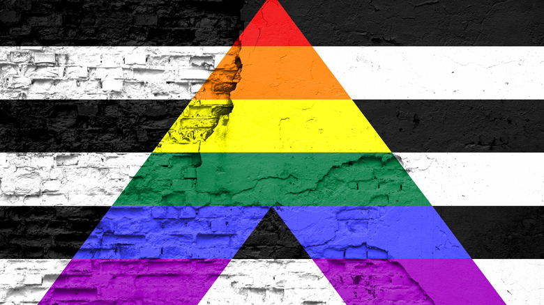 straight ally LGBTQ+ pride flag