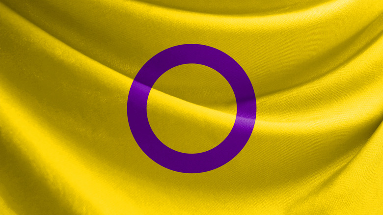 intersex pride flag LGBTQ+