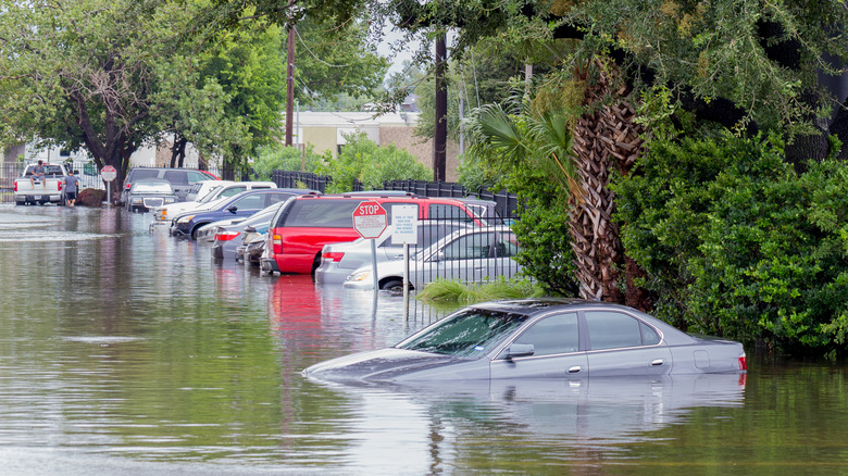 cars in flood