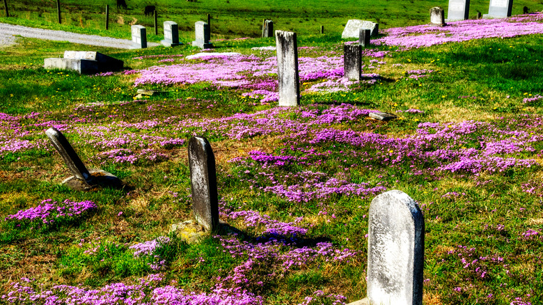 A graveyard in West Virginia