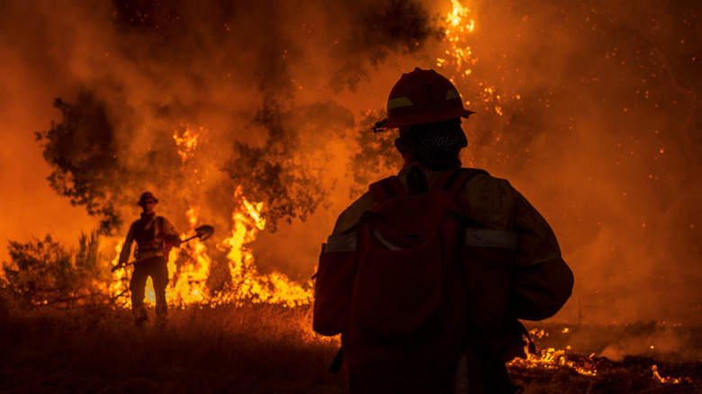 wildfire firefighters