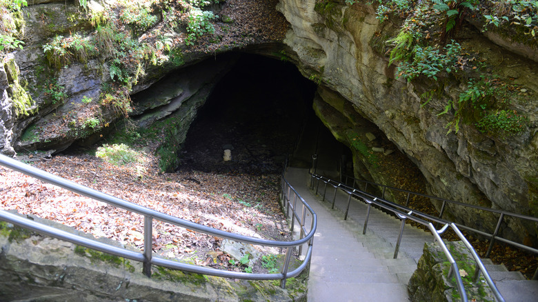 The entrance to Mammoth Cave.