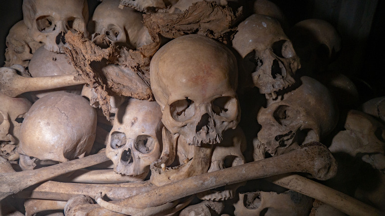 Bones of Phnom Sampeau victims.
