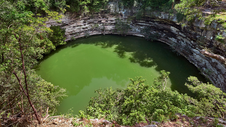 The Sacred Cenote in the Yucatan.