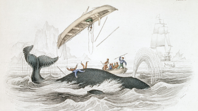 Whale harpooning 