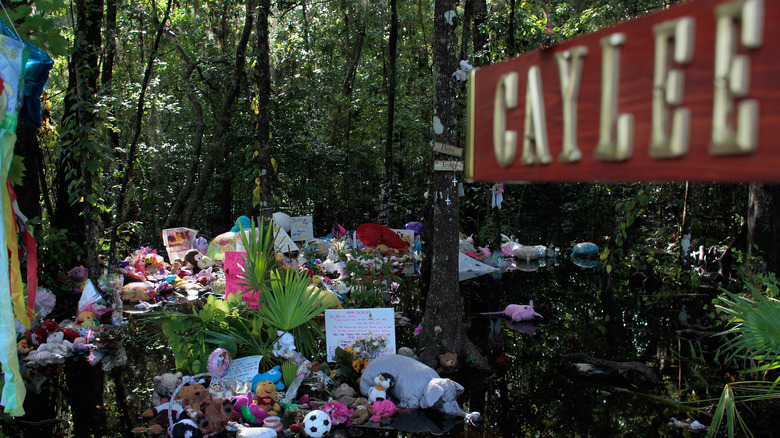 Memorial for Caylee Anthony