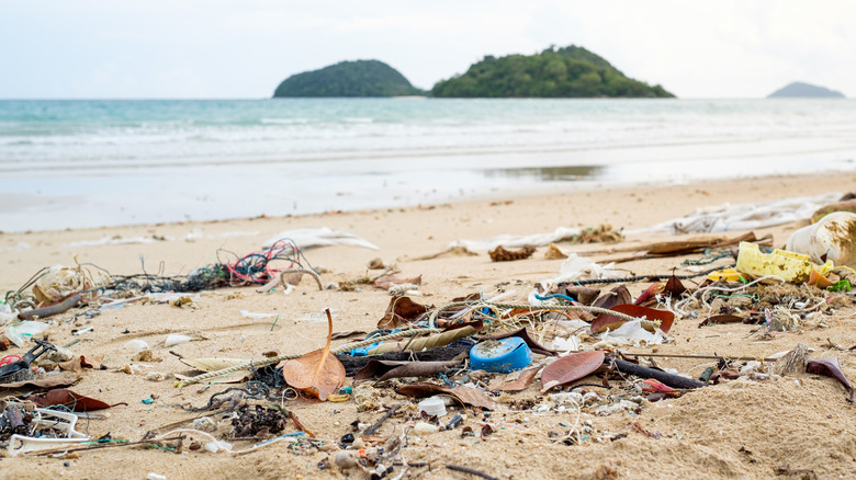 Pollution on a beach