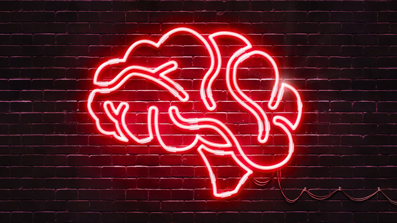 The brain in neon