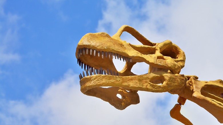 Argentinosaurus skeleton against blue sky