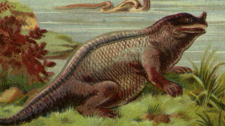 Iguanodon inaccurately portrayed in early paleoart