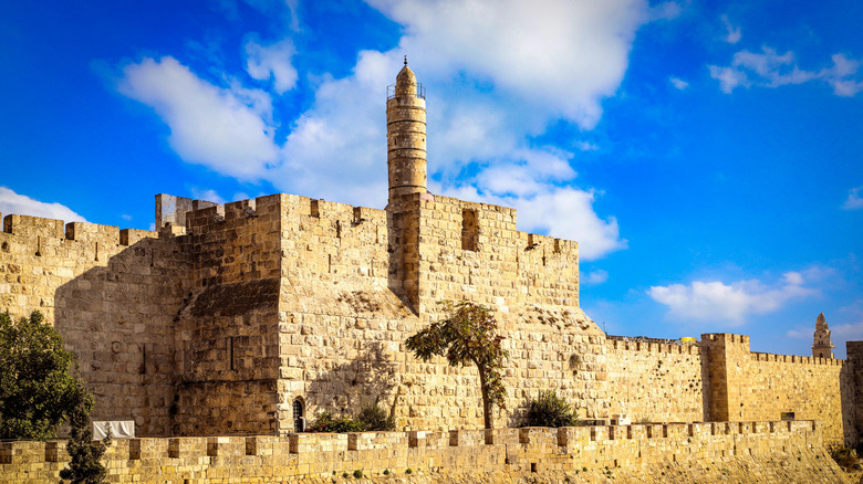 The Tower of David