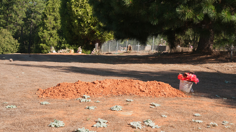 Fresh unmarked grave with flowers