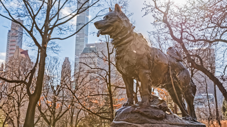 Statue of Balto in Central Park