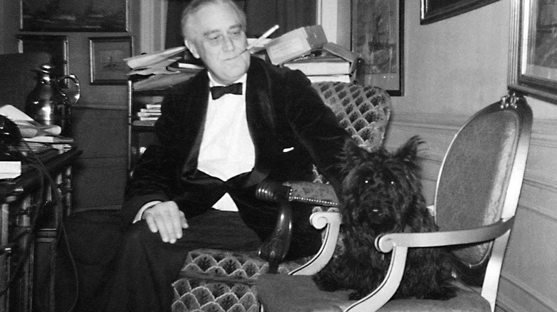 President Roosevelt and Fala