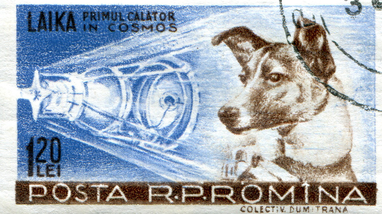 Soviet stamp of Laika