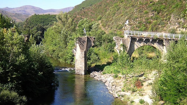 Ponte Novu