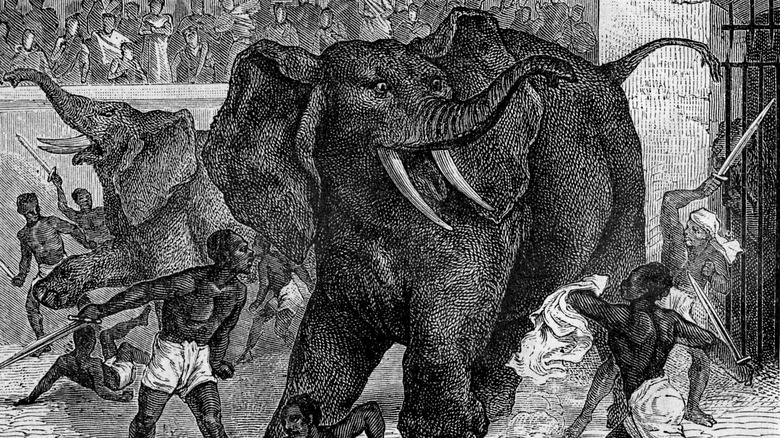 Drawing of elephants and soldiers in arena
