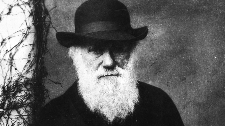 Charles Darwin with hat