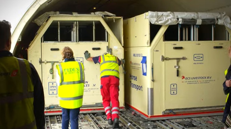 Horse stalls being loaded on an airplane 