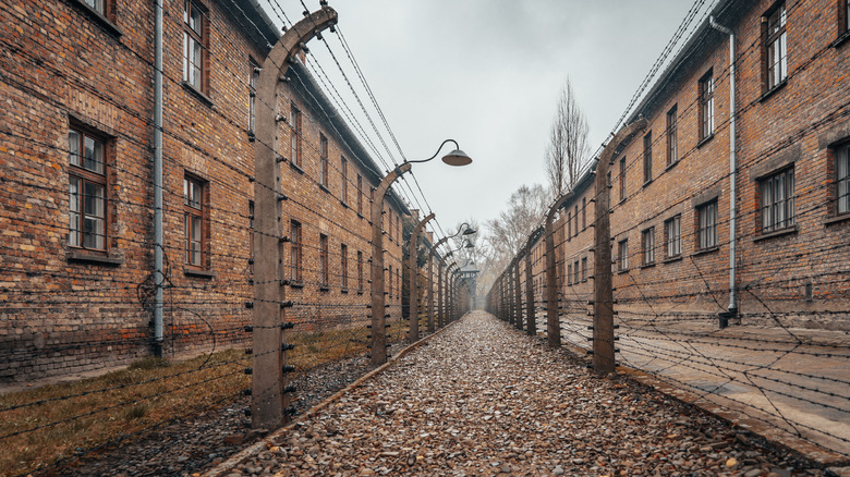 Auschwitz