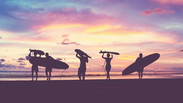 silhouettes of surfers