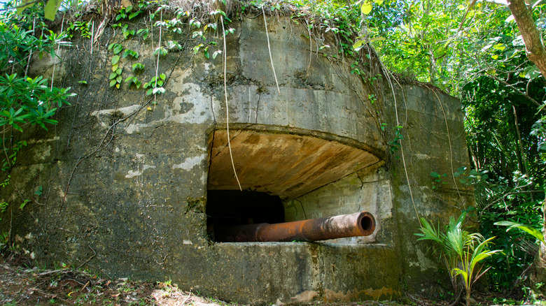 Japanese cannon from WWII