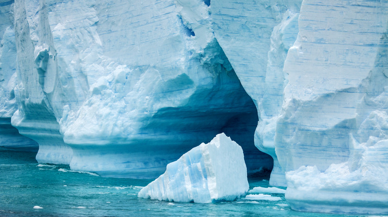 antarctica ice