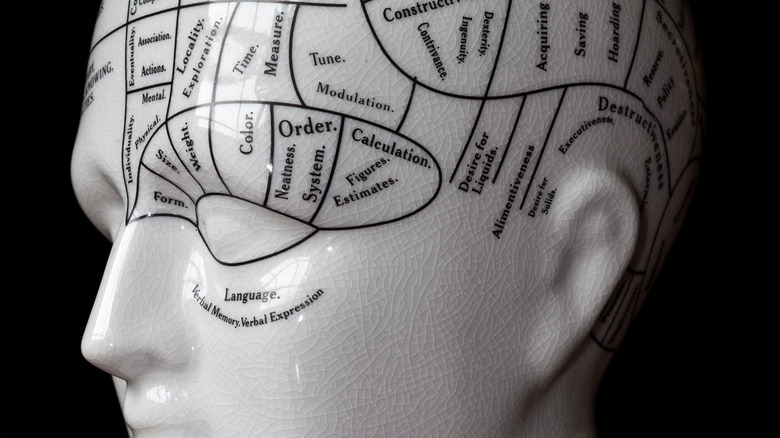 phrenology statue pseudoscience