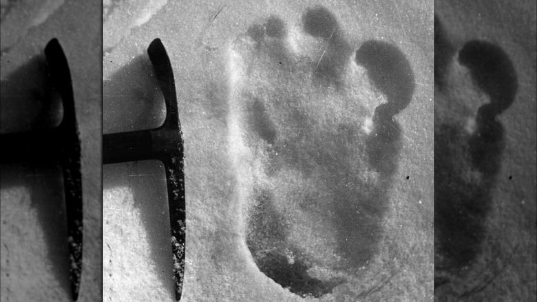 Eric Shipton's 1951 yeti footprint photo