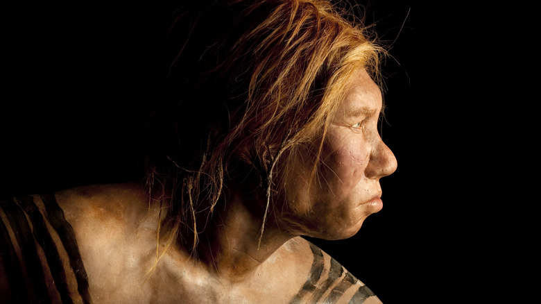 recreation of a Neanderthal woman