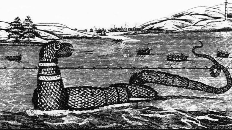 gloucester massachusetts sea monster