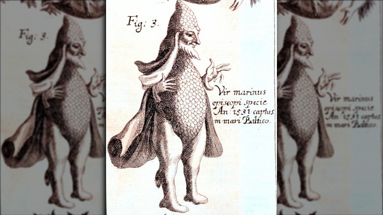 Sea Bishop illustration