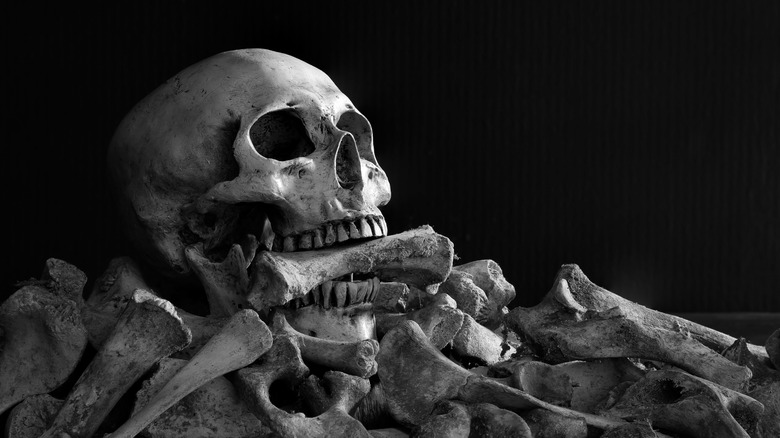 bones skull