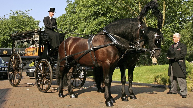 Horse-drawn hearse