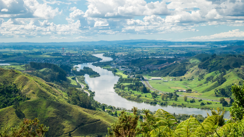Waikato River New Zealand