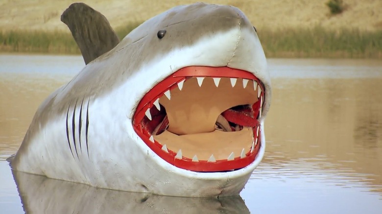 Screenshot of Jaws mock shark from MythBusters