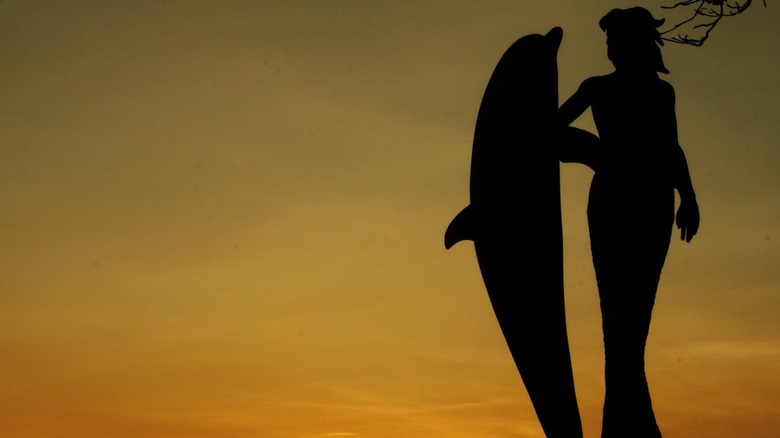 silhouette of a memaid and a dolphin