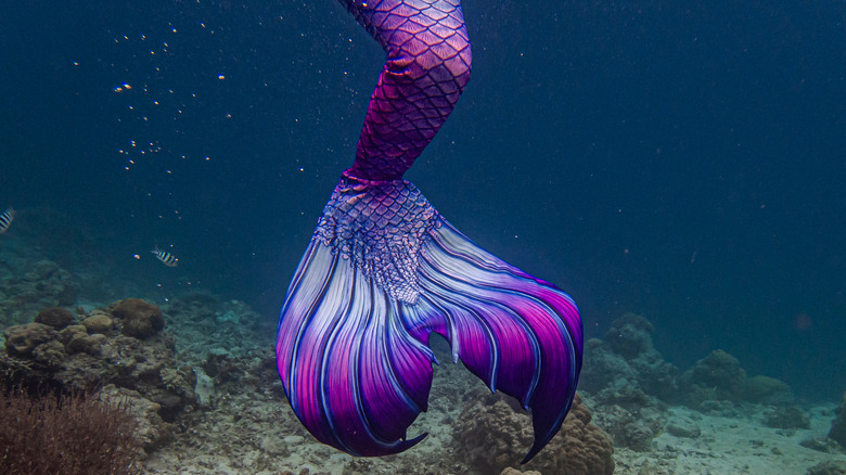 A colorful mermaid's tail