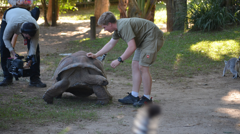 Robert Irwin petting tortoise 