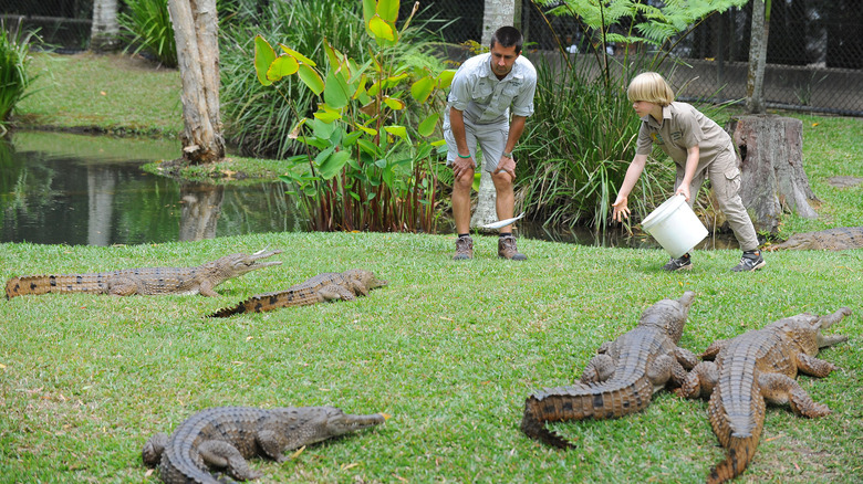 Robert Irwin and Josh Ruffell feeding crocodiles 
