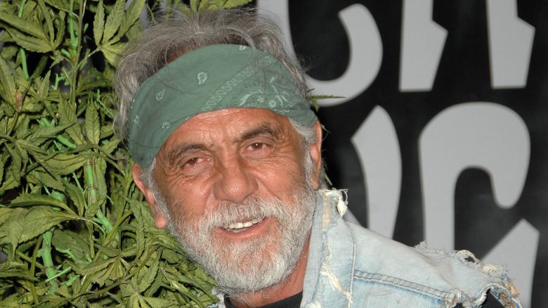 Tommy Chong poses with marijuana leaves