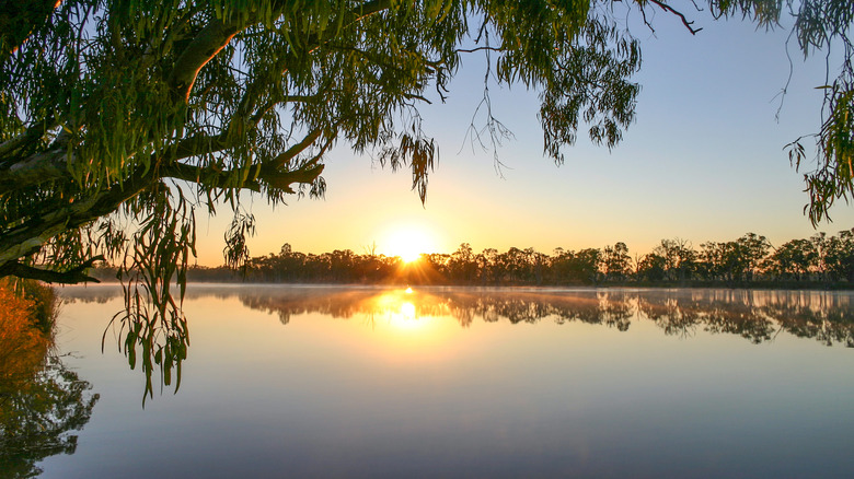 Murray River in Australia