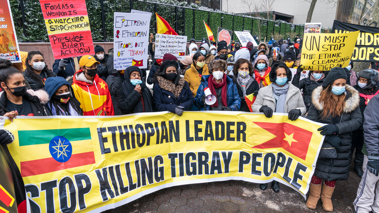 Pro-Tigray protesters