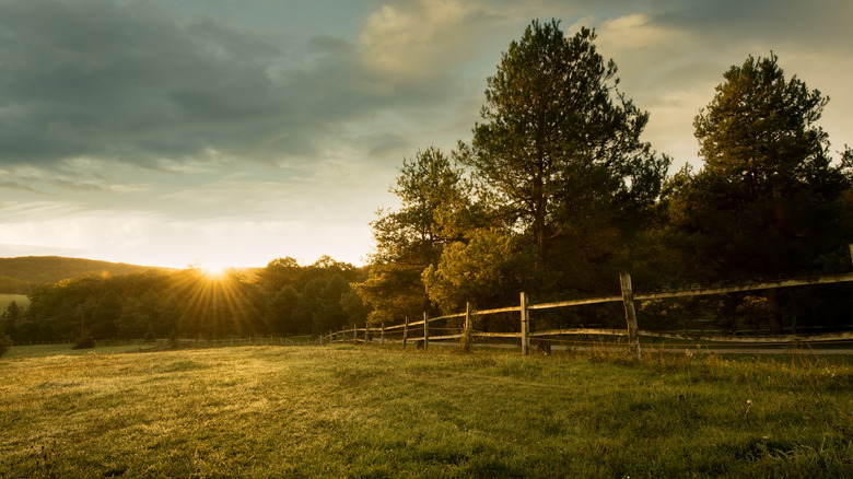 Sunrise at a farm